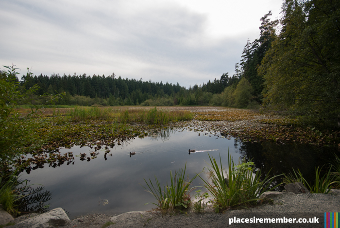 Beaver Lake. Stanley Park, Vancouver